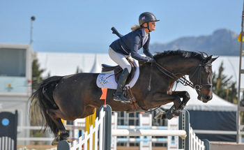 Anna Edwards Wins the Penultimate Speedi-Beet HOYS Grade C Qualifier at Pembrokeshire County Show Anna Edwards Wins the Penultimate Speedi-Beet HOYS Grade C Qualifier at Pembrokeshire County Show